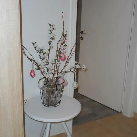 Apartment Elegant And Comfortable In The Center